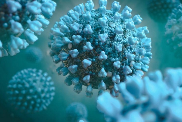 photo du virus coronavirus